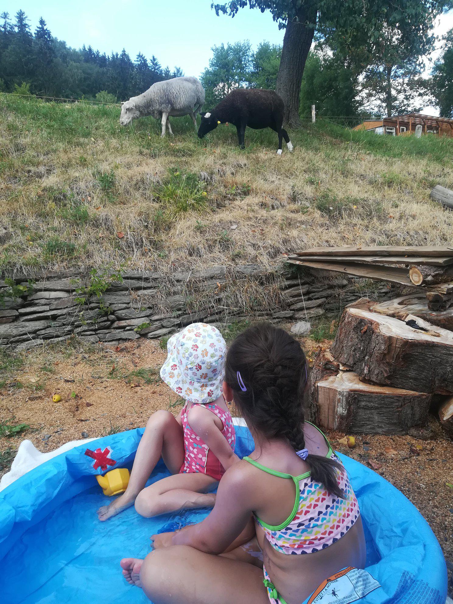 Biofarma Belina foto 2