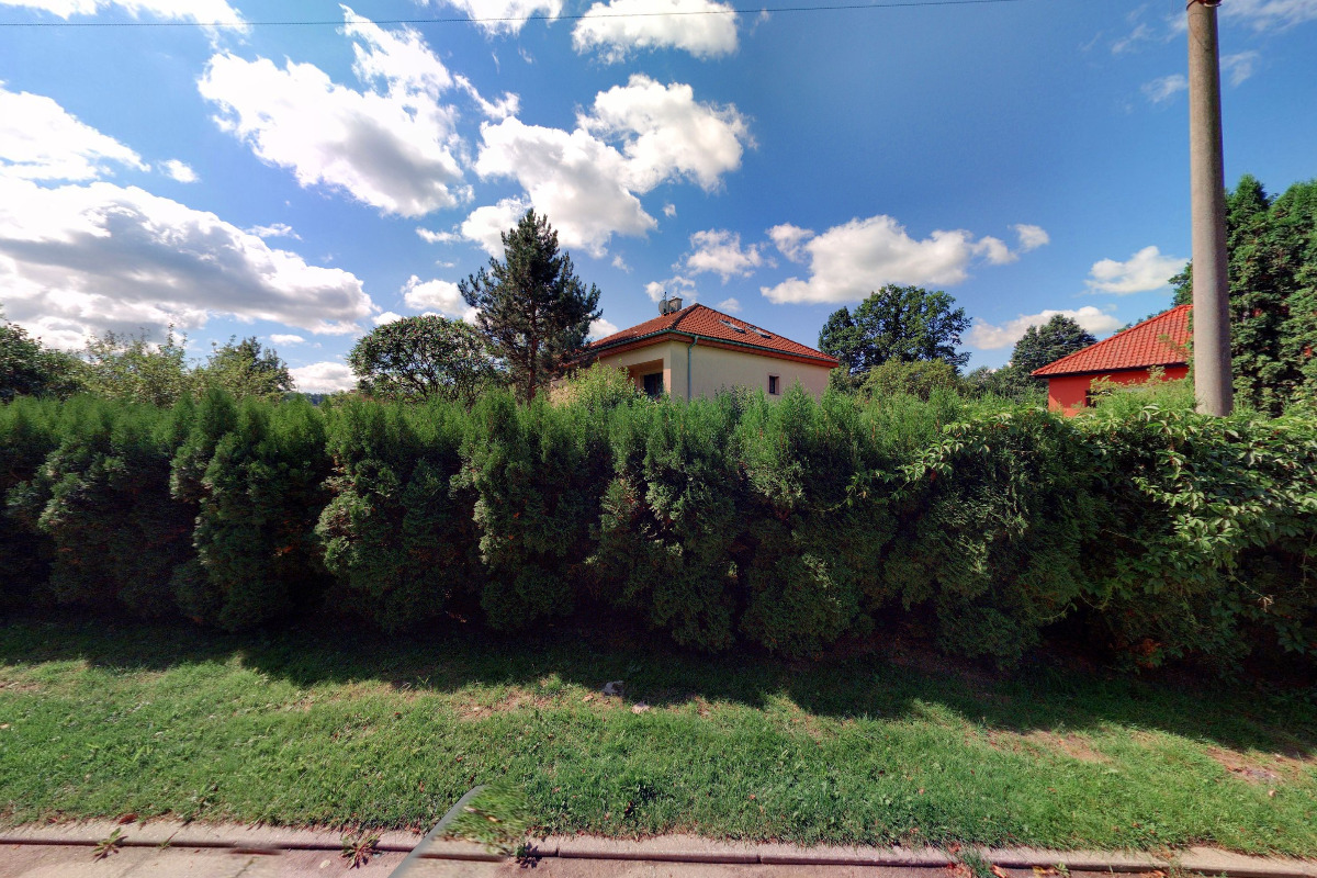 Dobrá zmrzlina Petra Hölclová foto 2