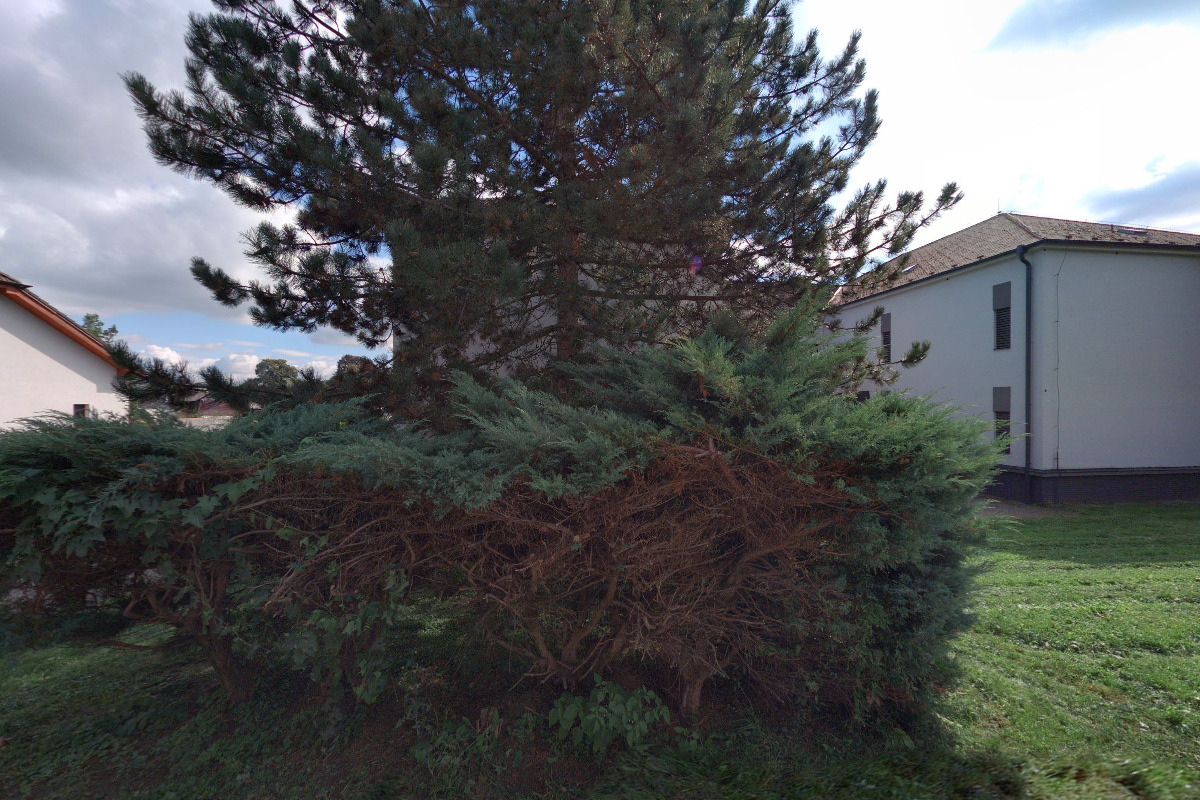 Knihovna Regionálního muzea v Chrudimi foto 2