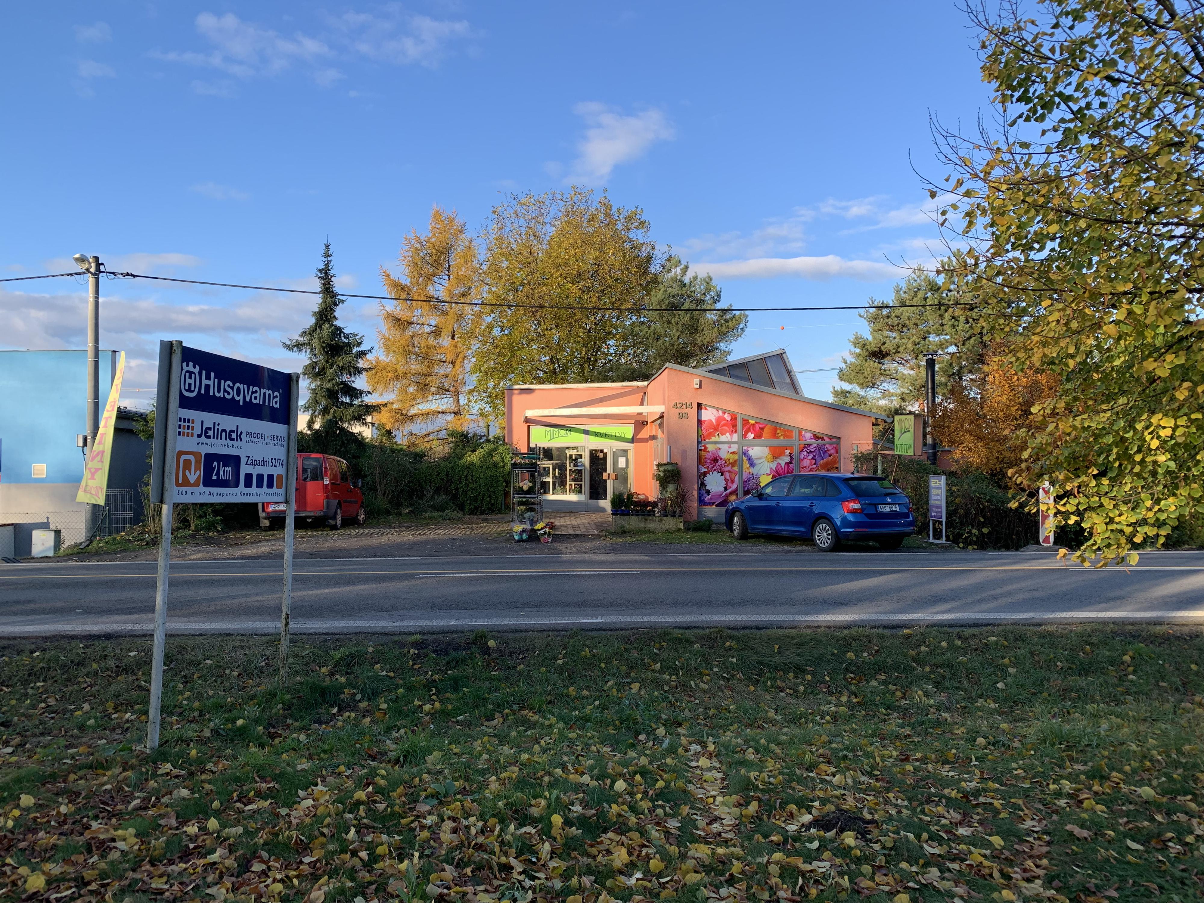 Mimosa květiny s. r. o. foto 2