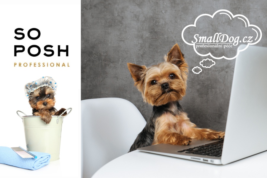 SmallDog.cz foto 2