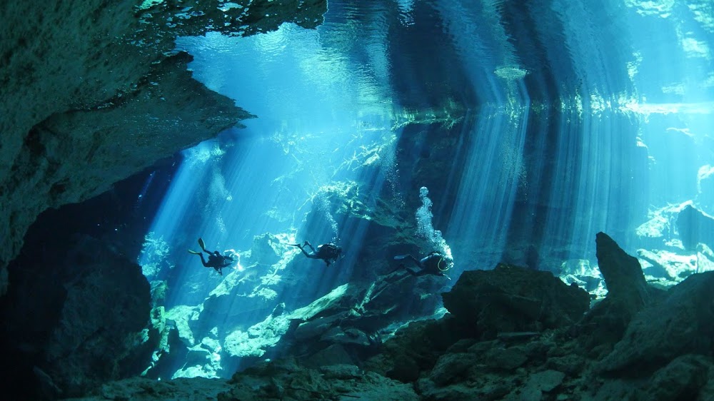 REJNOK DIVERS foto 2