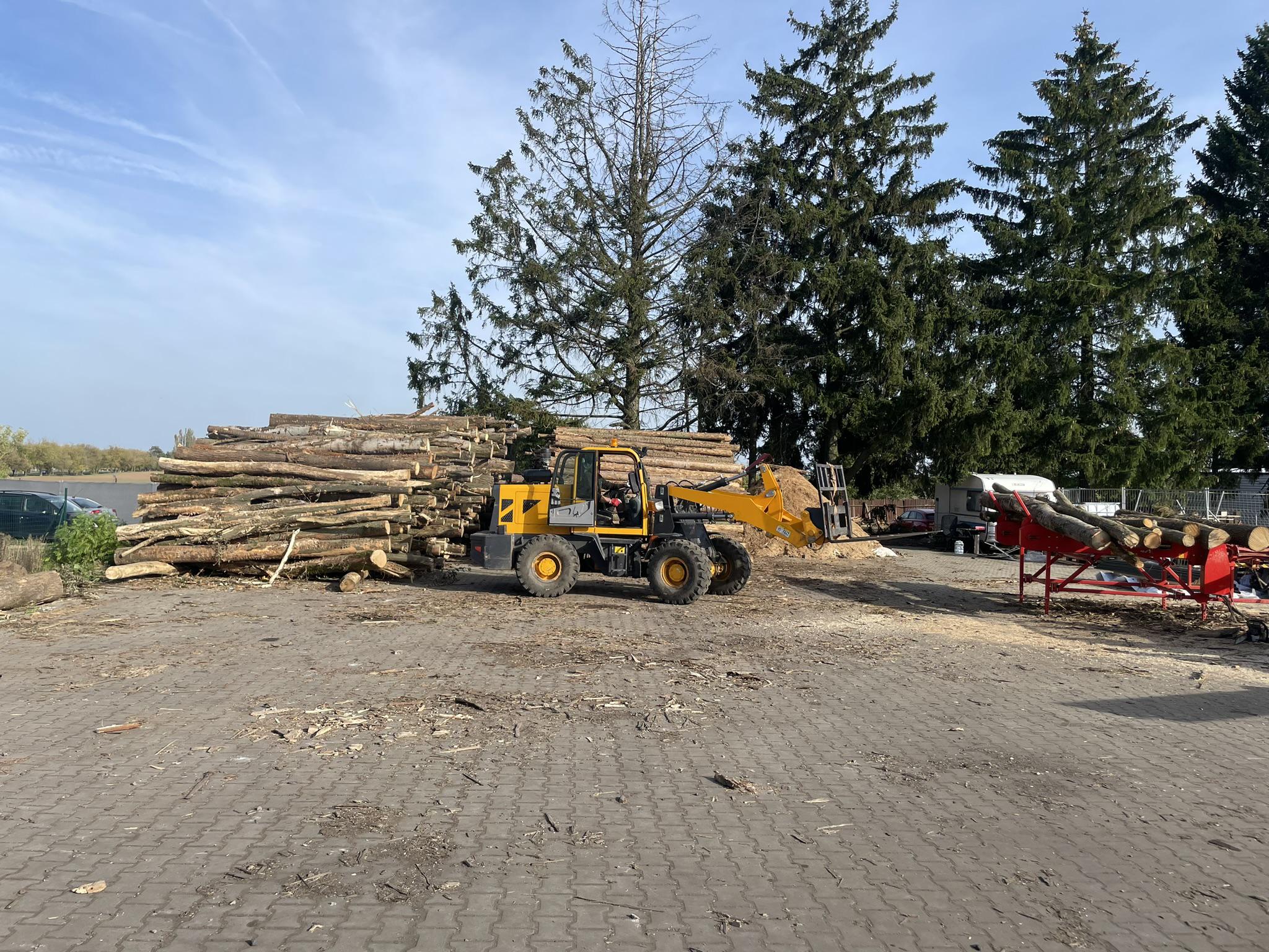 NV palivové dřevo foto 3