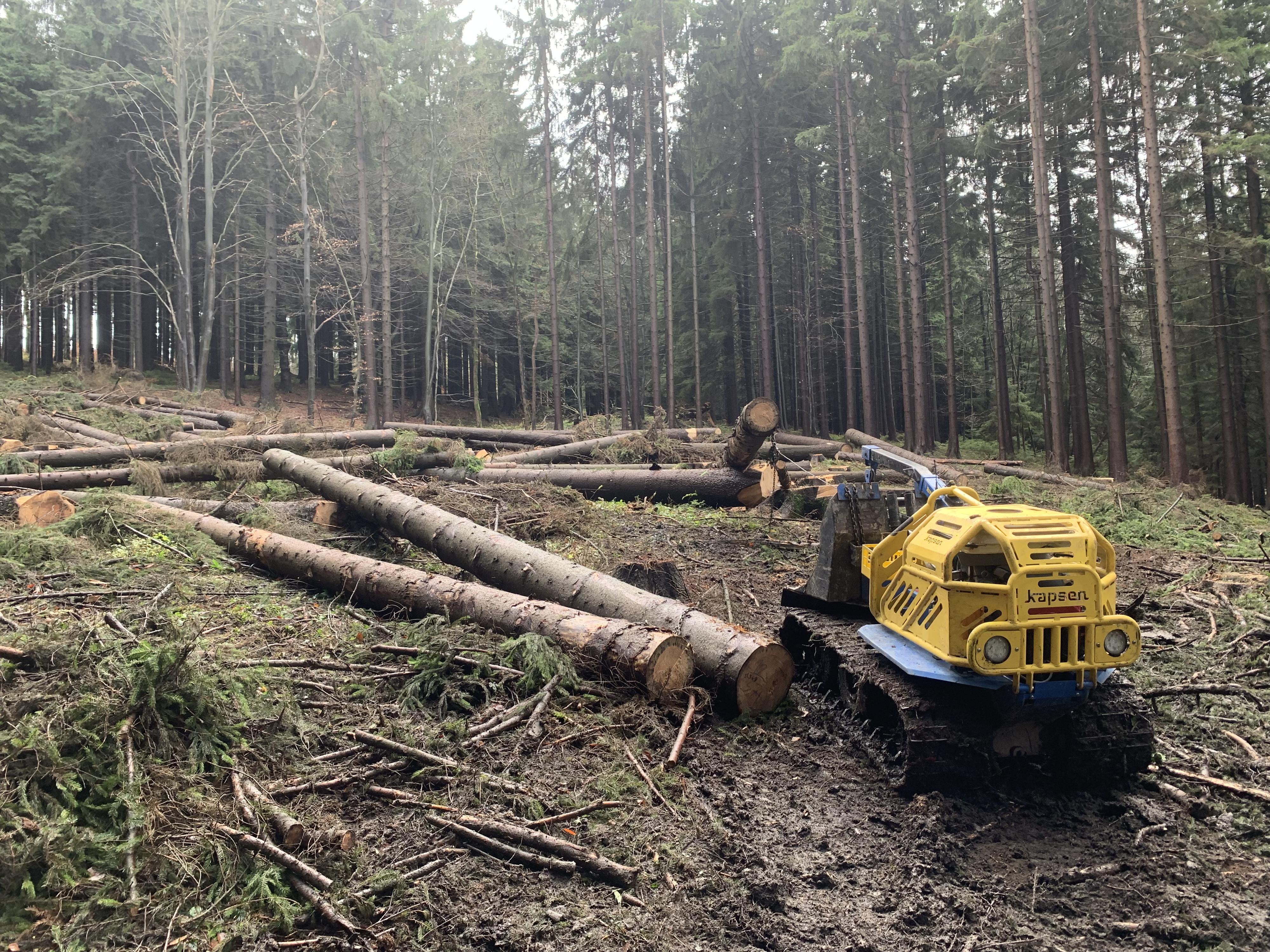 Těžba dřeva a přibližování železným koněm foto 2