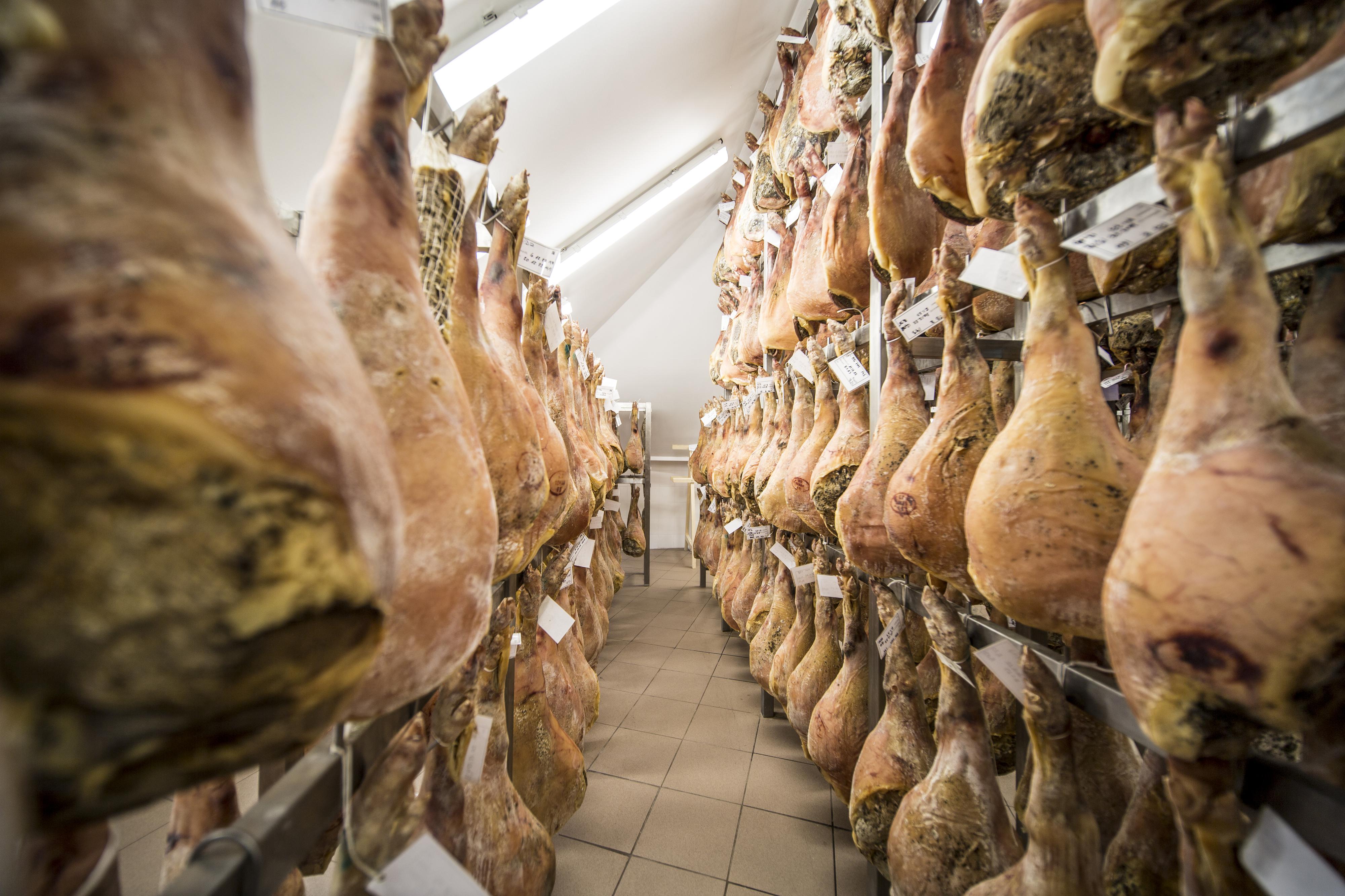 Pivovar & Šunkárna Bohdaneč foto 4