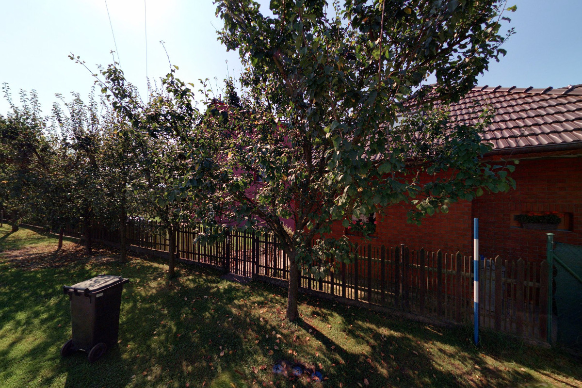 Denisa Honešová foto 5