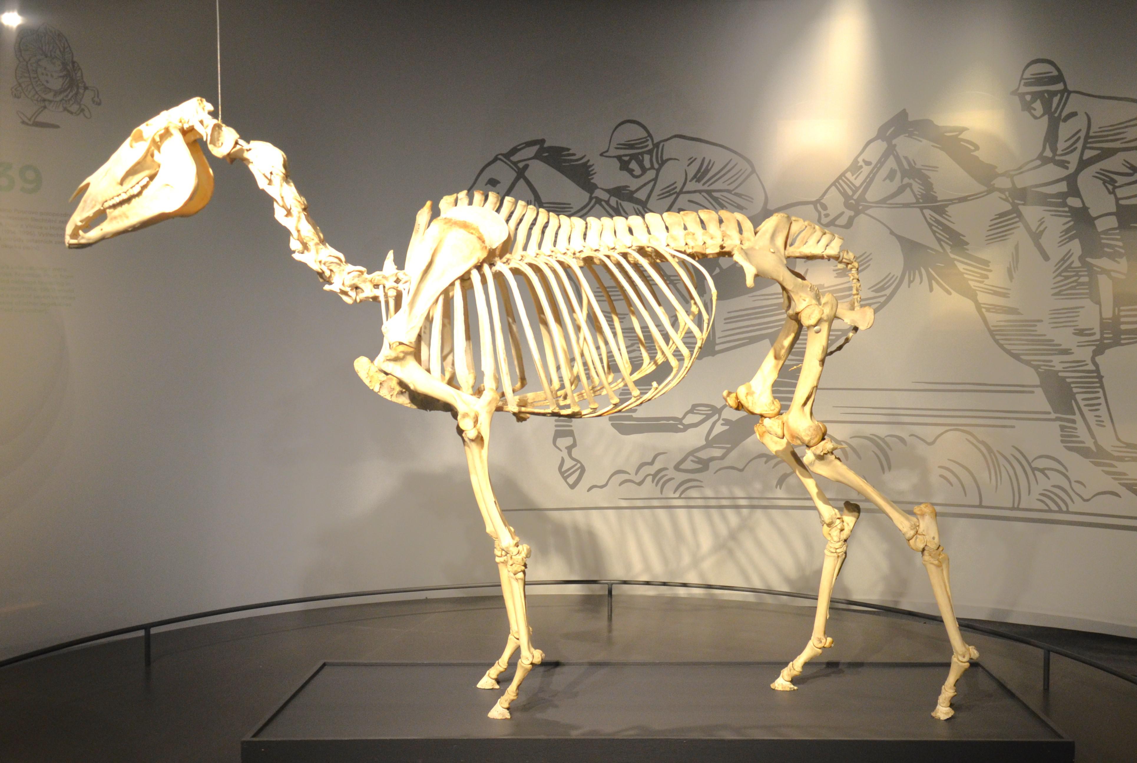 Národní zemědělské muzeum foto 6