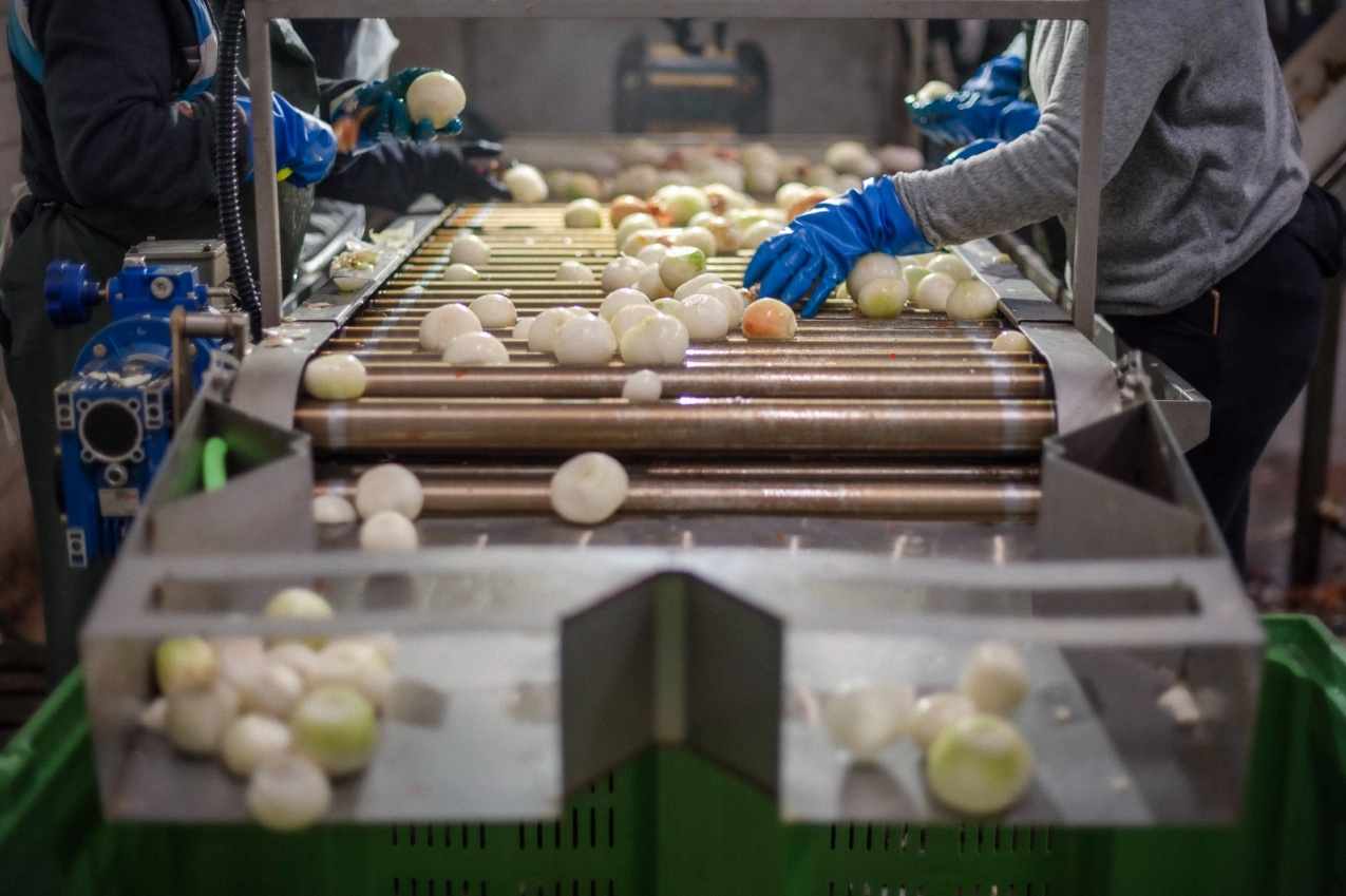 GARDEN Moravia s.r.o. foto 2