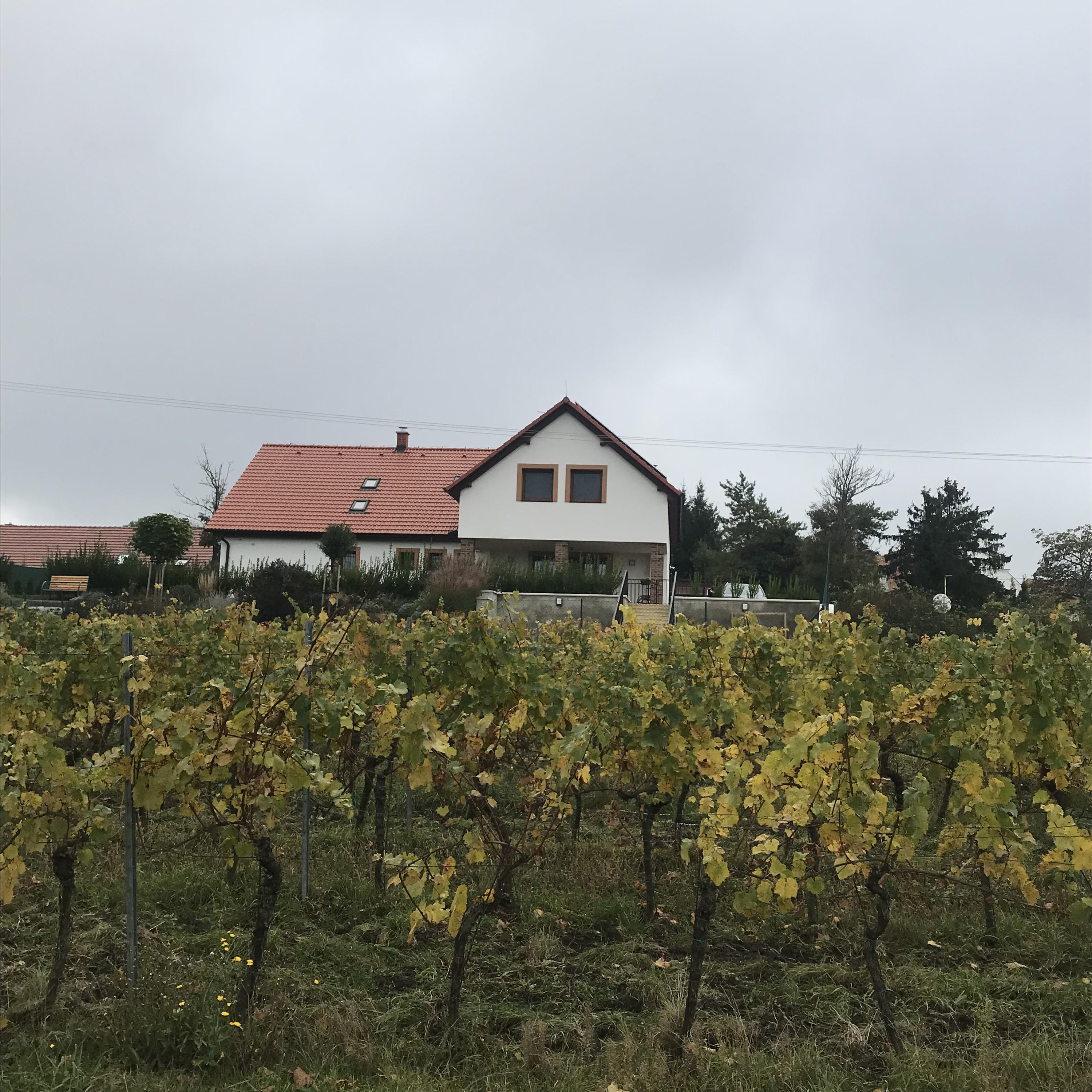 U Floderů foto 1