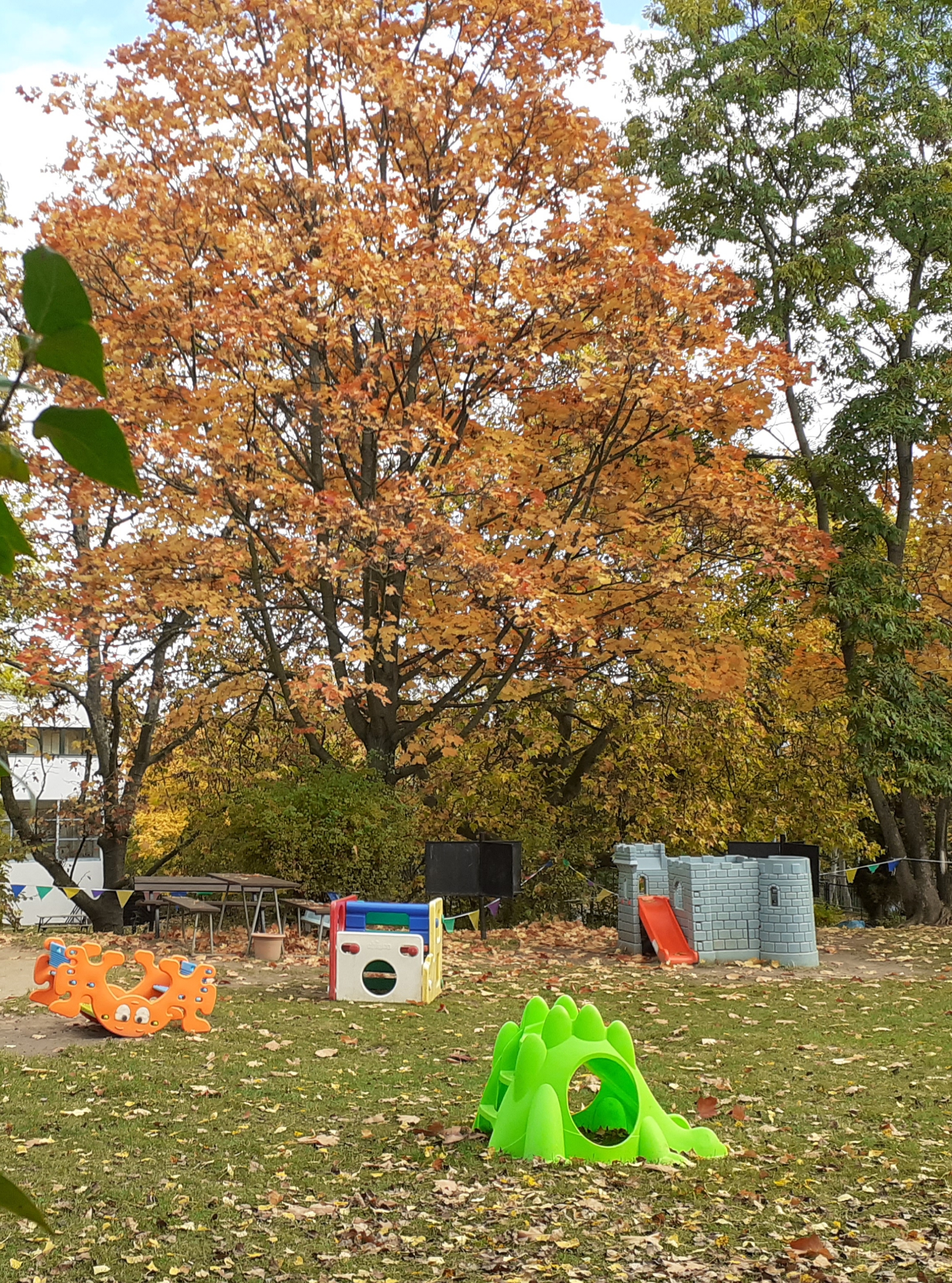 ZŠ a MŠ Praha 6, Bílá foto 4