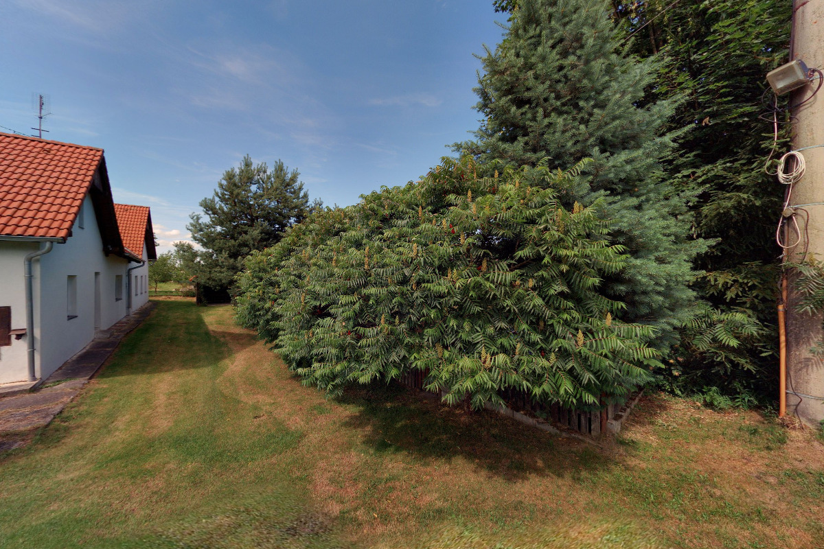 Kamil Veselý foto 1