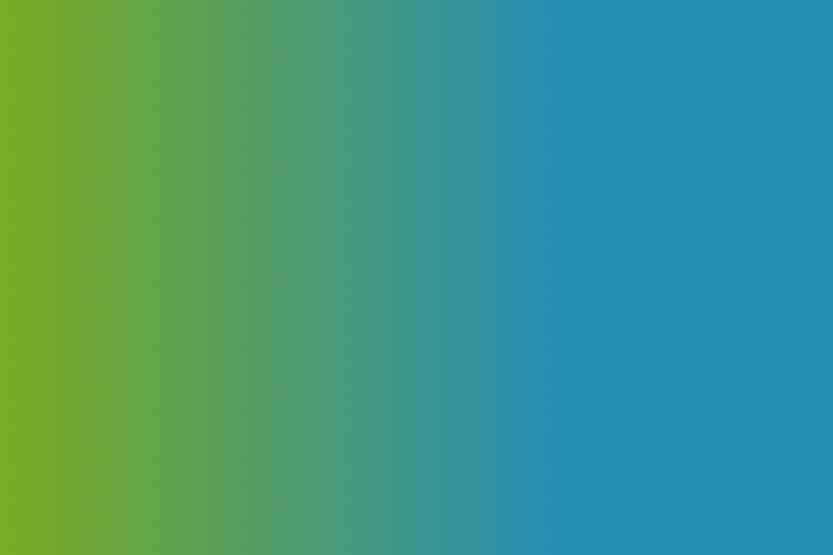 XDESIGN - Zdeněk Schneider