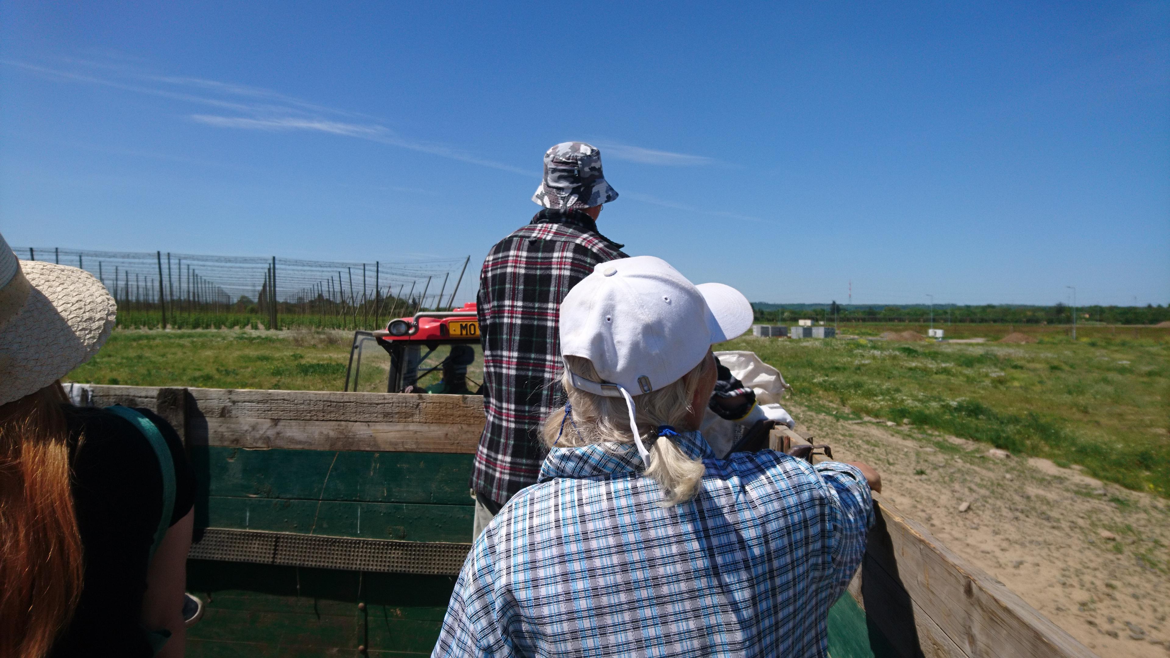 MORAVA - HOP s. r. o. foto 2