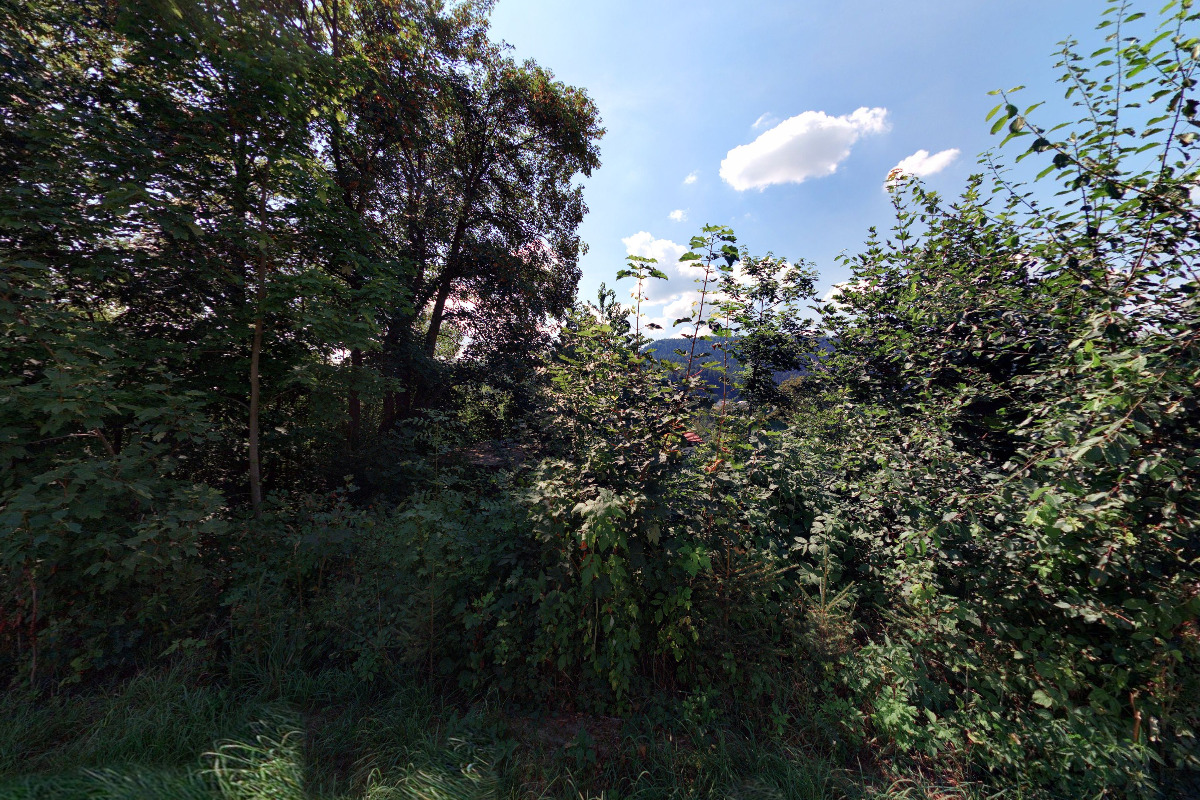 Lesmeni - Rizikové kácení stromů a Arboristika