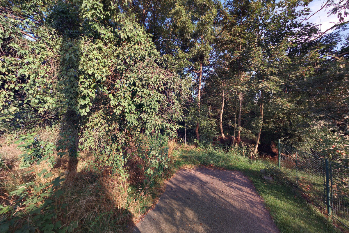 Chata v Českém Ráji- Mrazíkovi