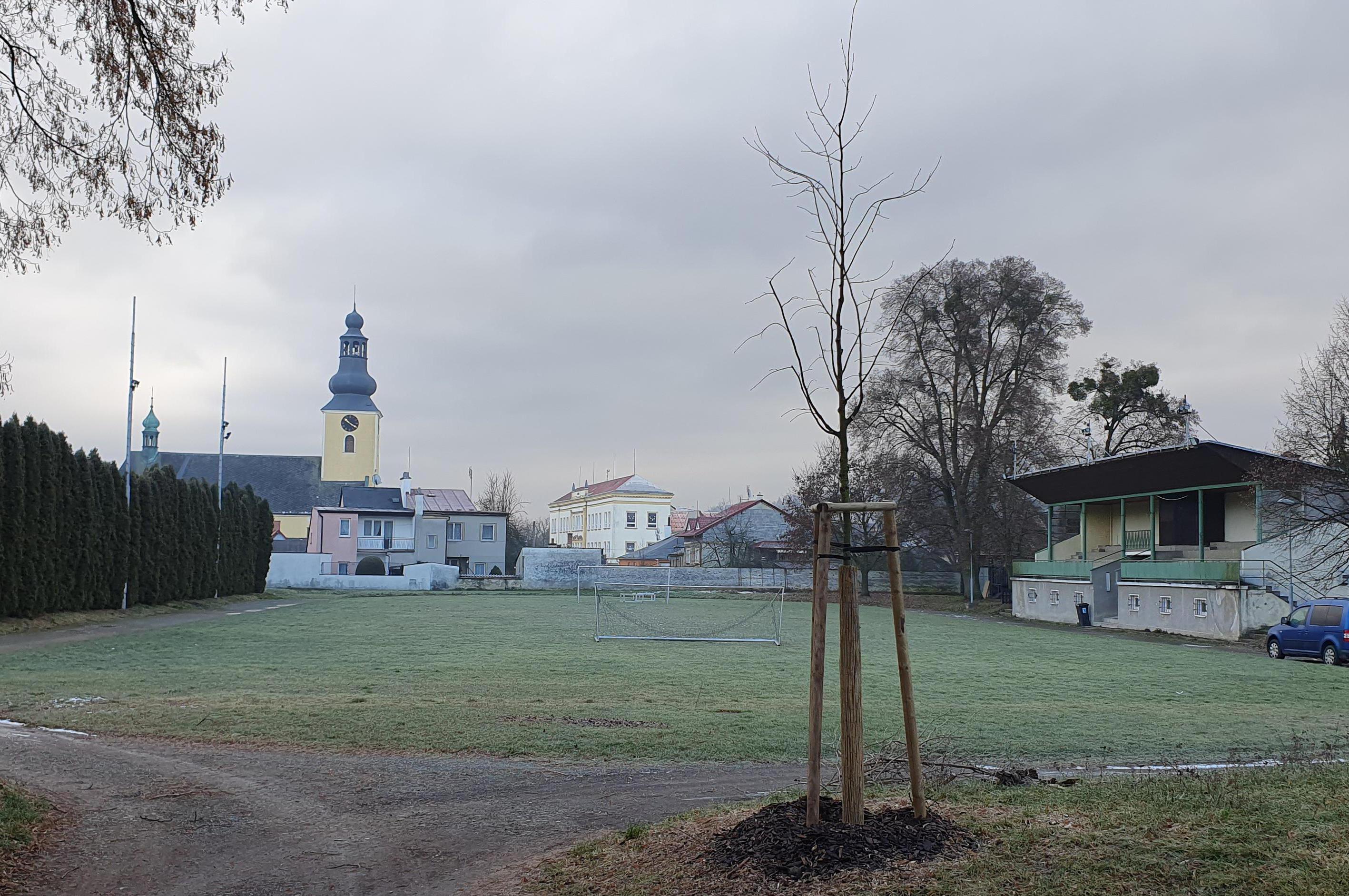 TJ Slavoj Loštice z.s.