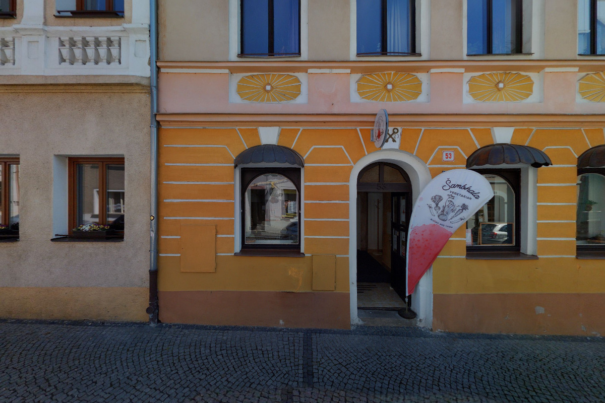 Veronika Bisová - Tiskárna Verbis