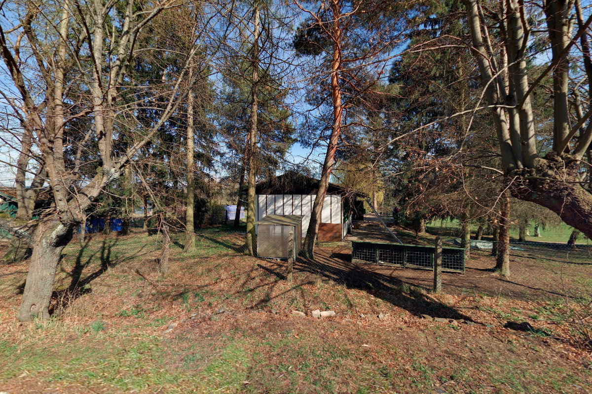 Základní kynologická organizace Jičín