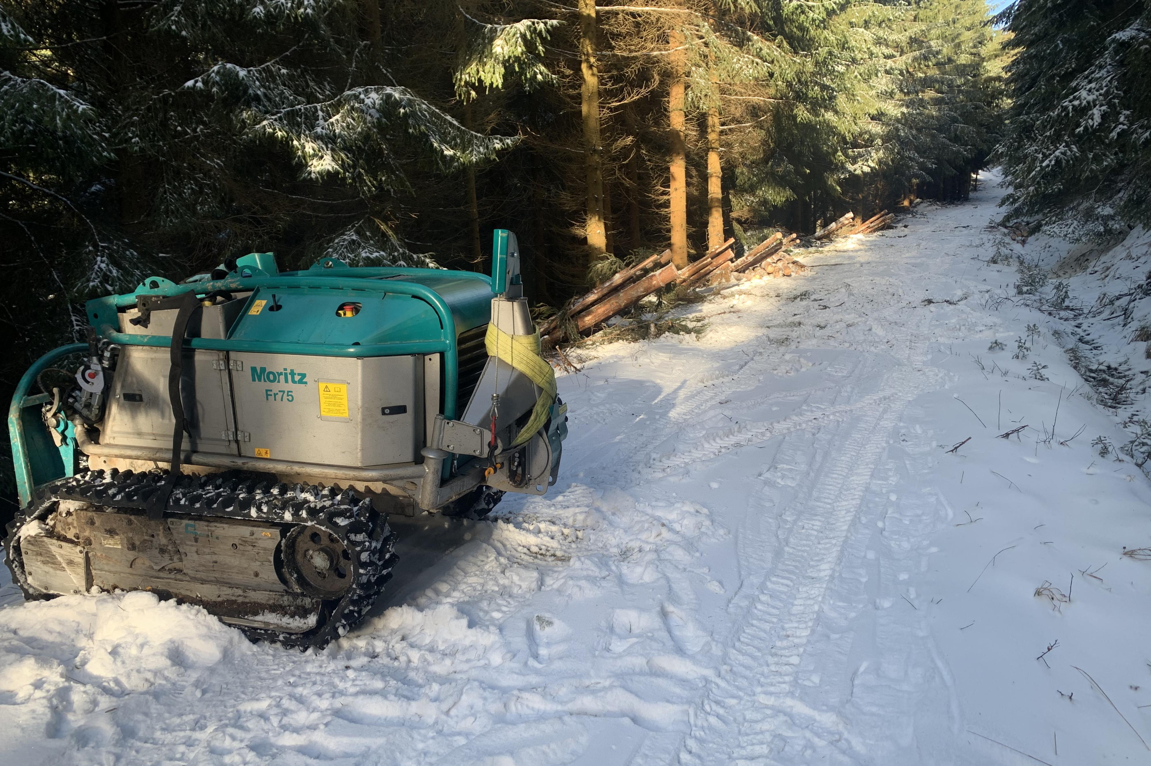 Těžba dřeva a přibližování železným koněm