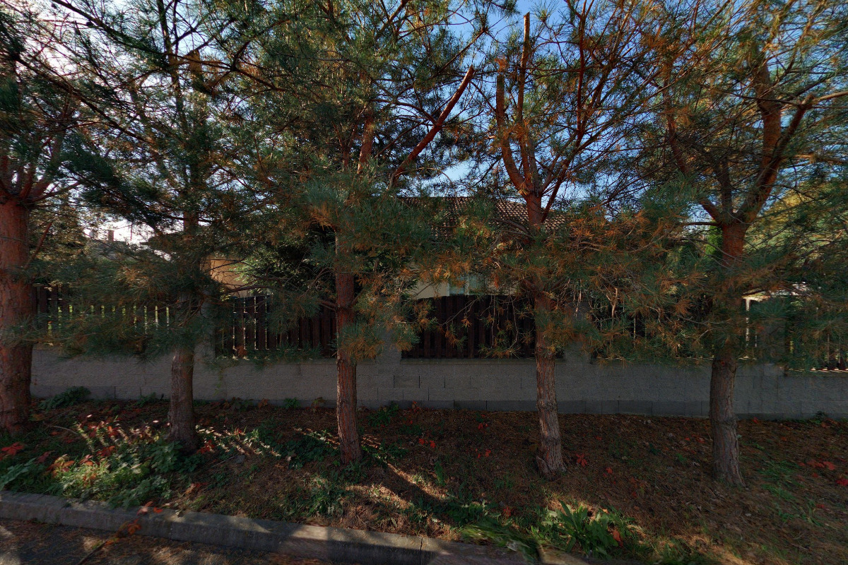 Taxislužba Sára Kopfhammerová foto 2