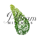 Fenomén Vltavín v obchodě Peltramminerals.com