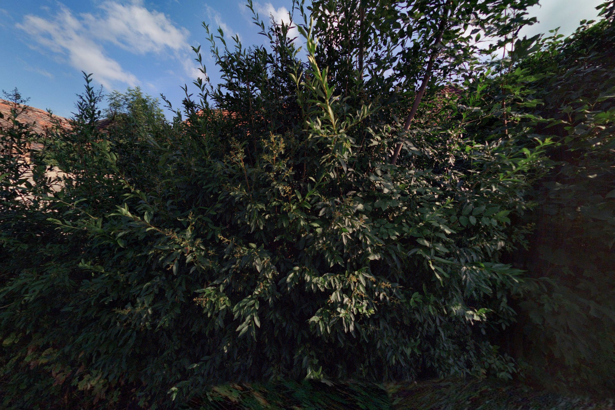 Ing. Karel Mojžišík foto 1