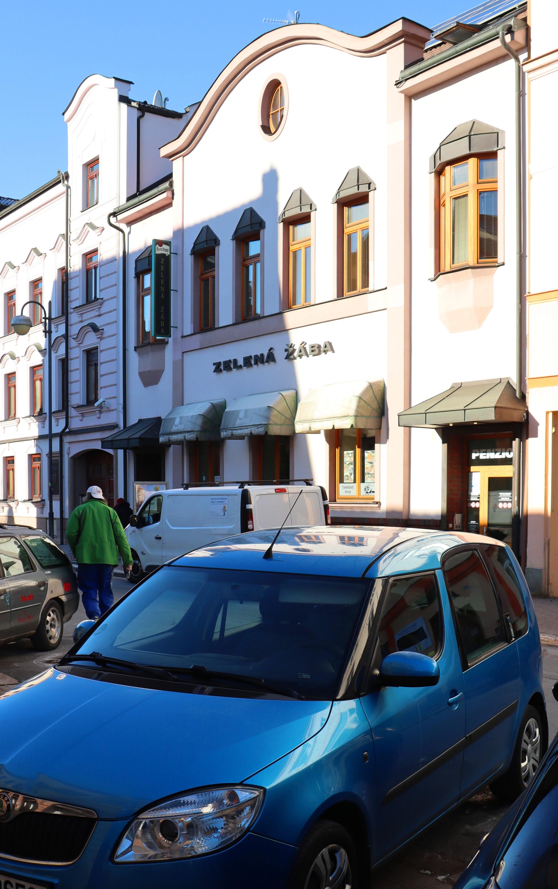 Restaurace Zelená Žába foto 2