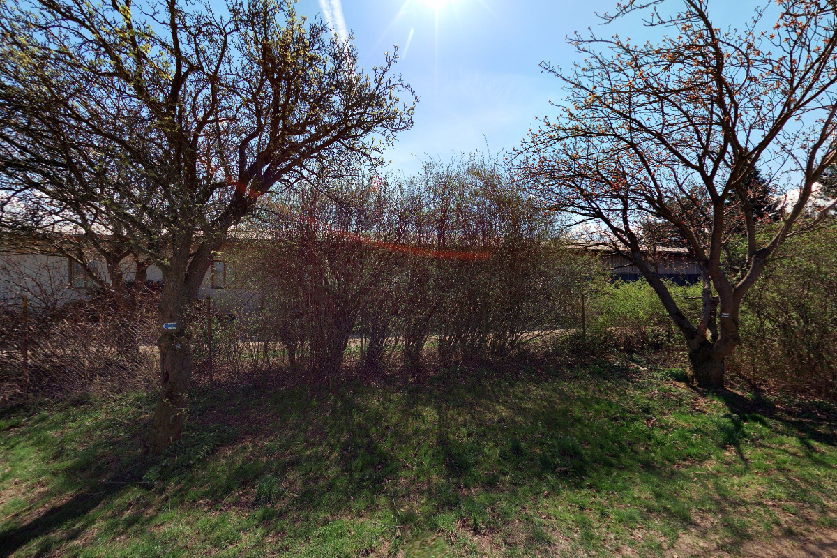 Ovocnářská a okrasná školka Ing. Eichler foto 2