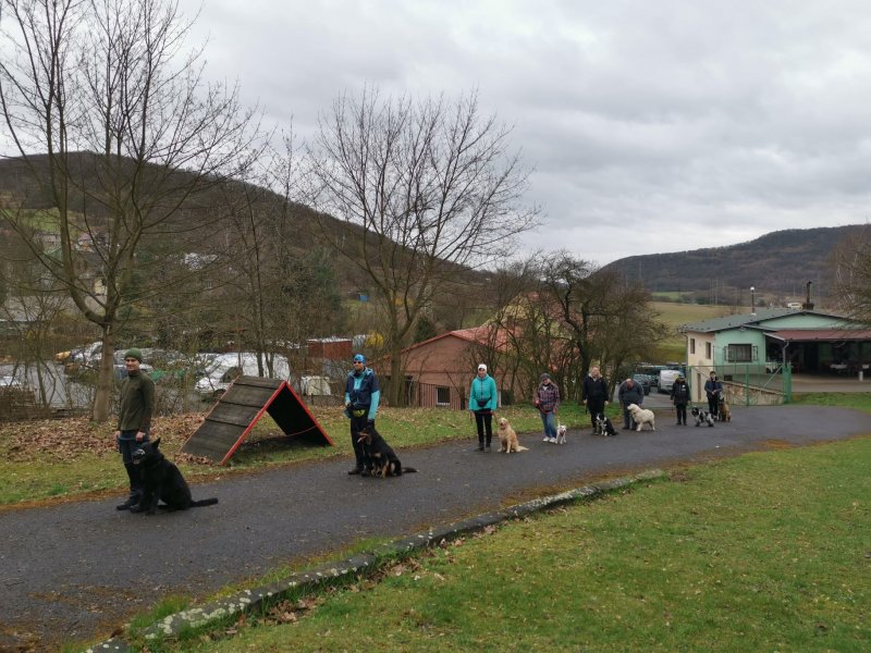 ZKO Trmice - Újezd (Český kynologický svaz ZKO Trmice - Újezd - 698) foto 3
