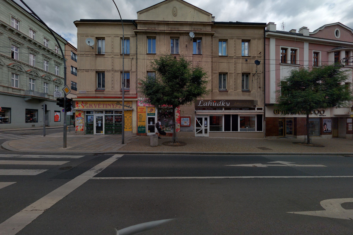 KVĚTINY Slaměnka foto 2