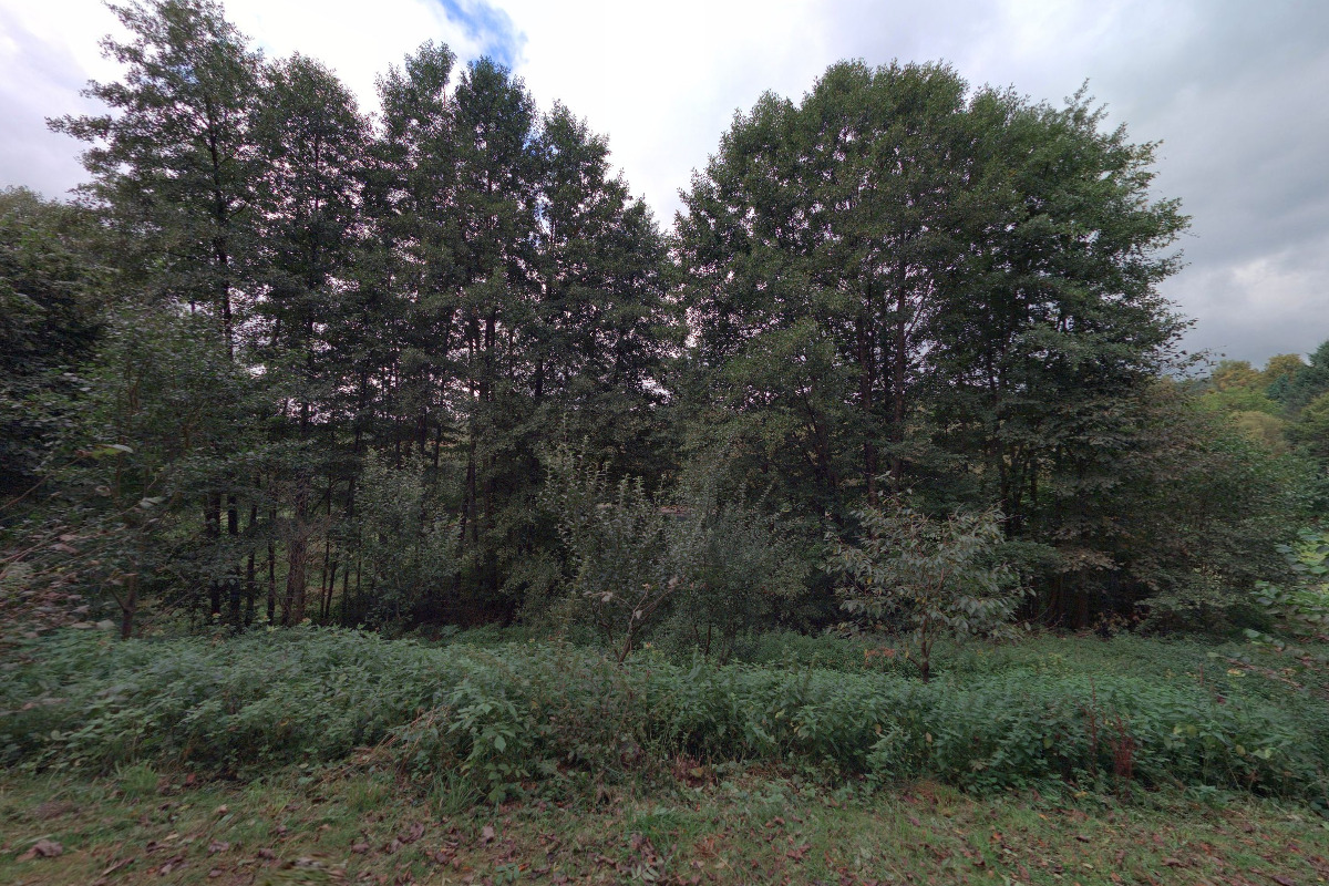 Koupaliště Čížkov - Zahrádka foto 1