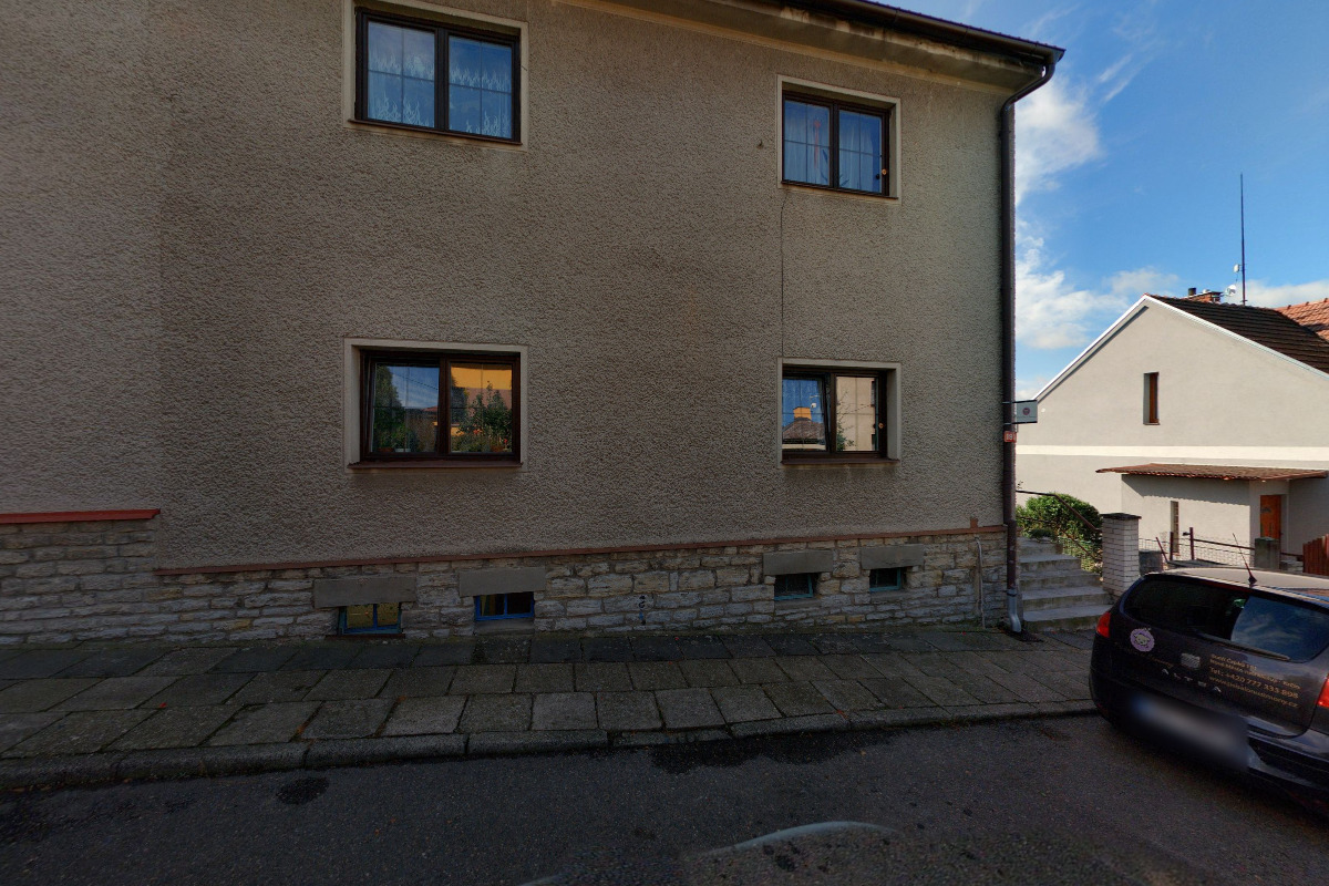 Psí salón u Simony foto 5