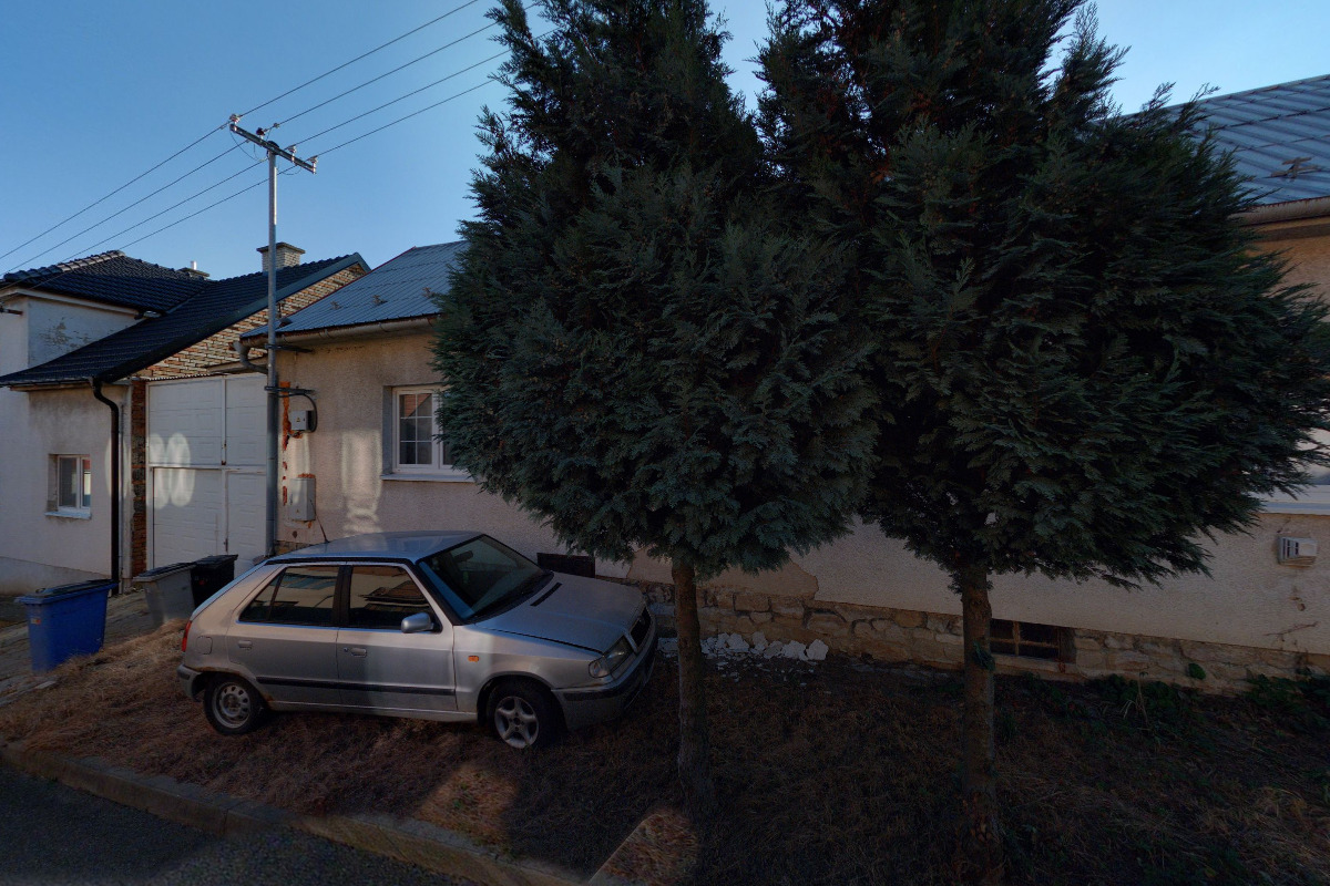 BOCA - spolek pro pomoc opuštěných a týraných koček