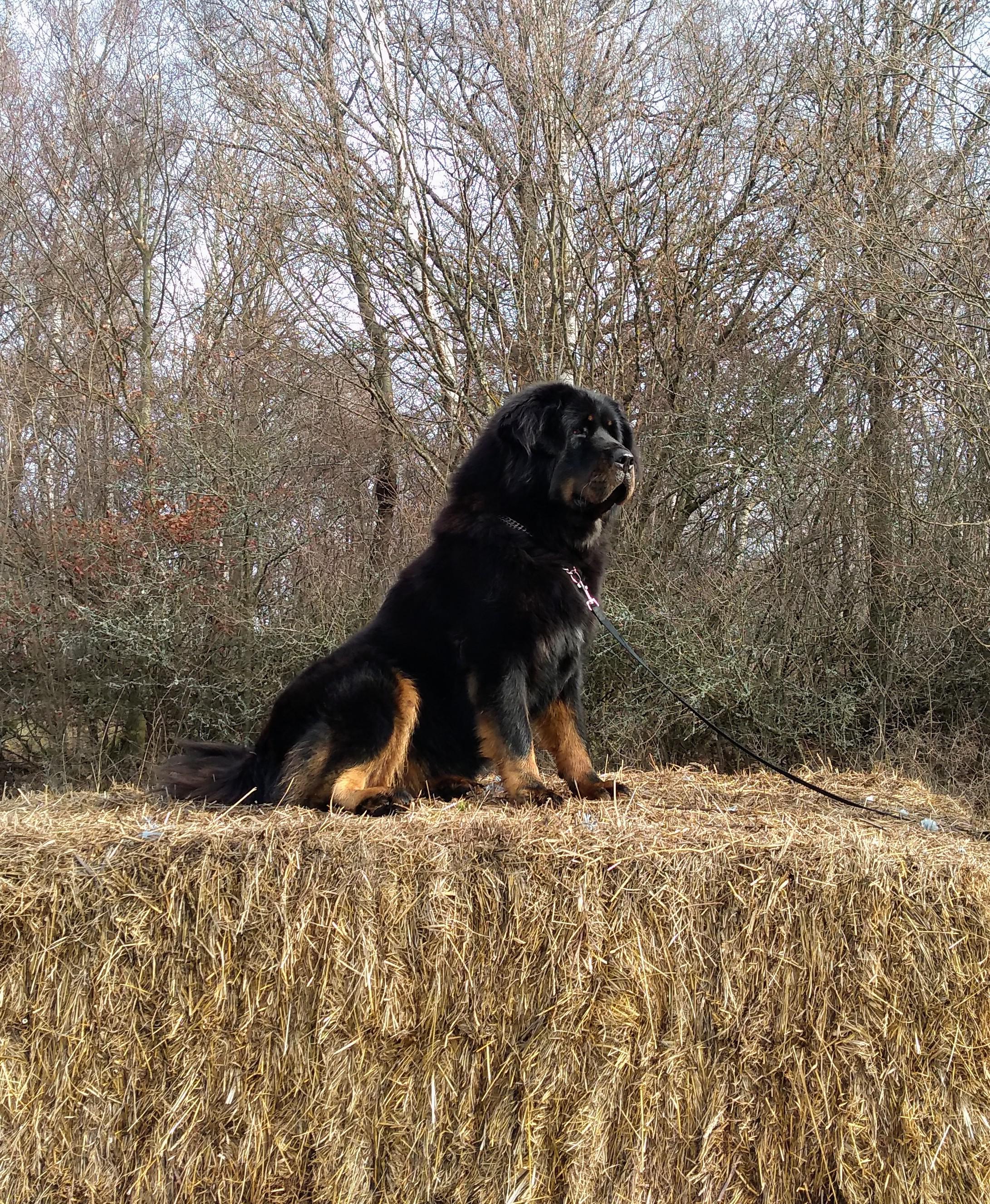 Ovčí farma Dluhoště foto 5