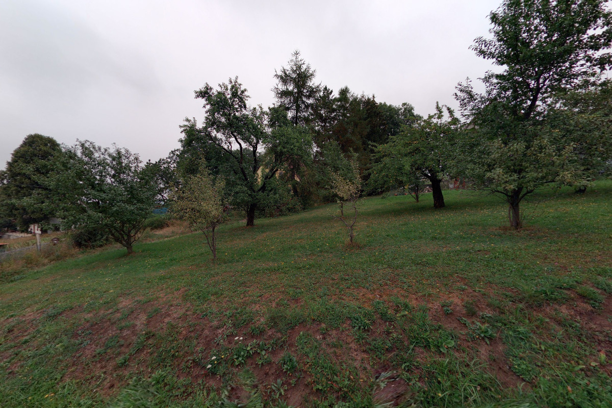 Daniel Jursa - chov skotu