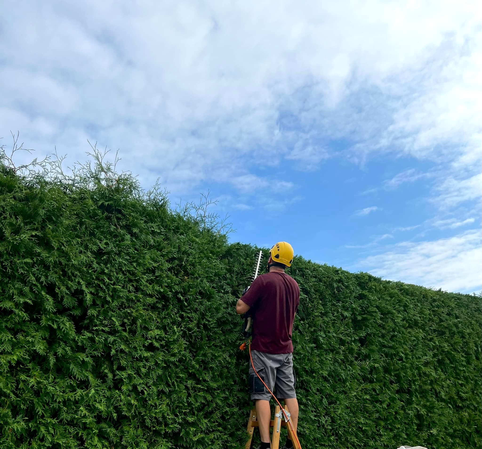 Realizace a údržba zahrad - Zelená péče foto 4