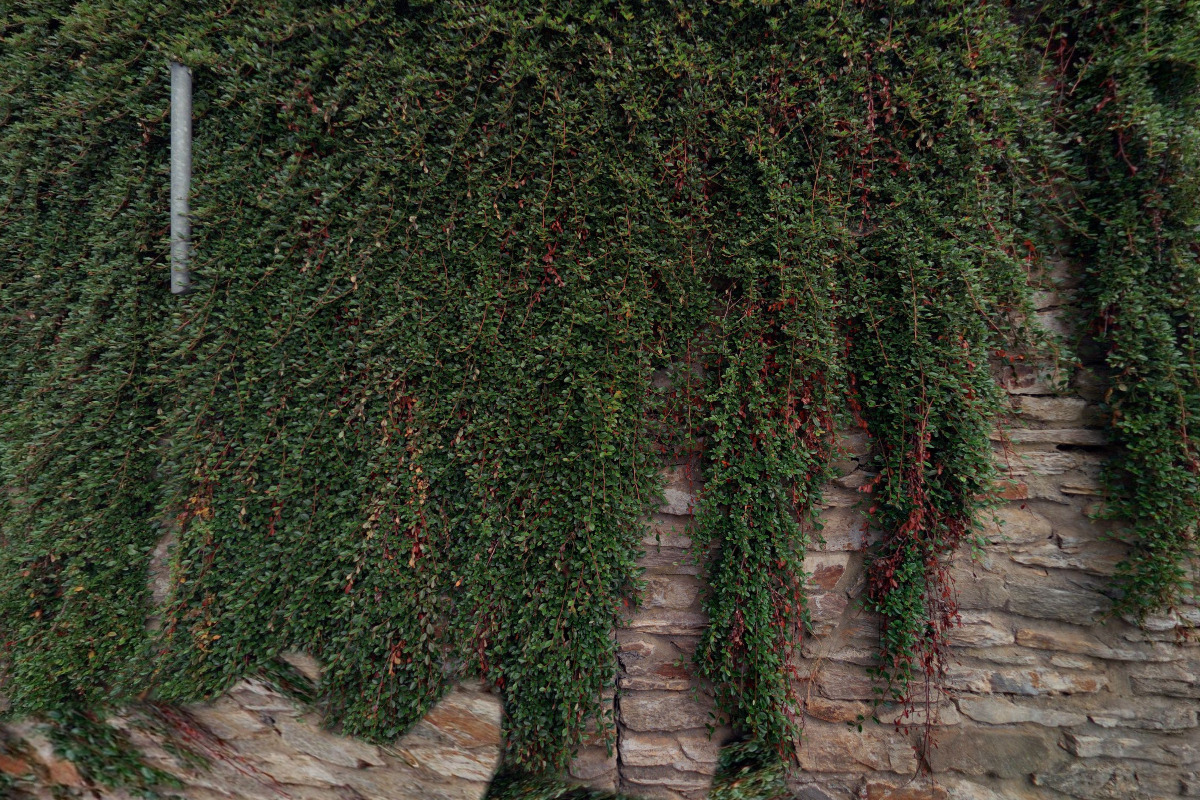 VILA DR. MAXMILIAN KOREFF foto 3