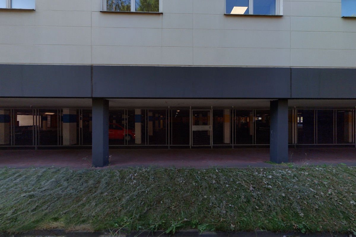 Flamengo květiny foto 2