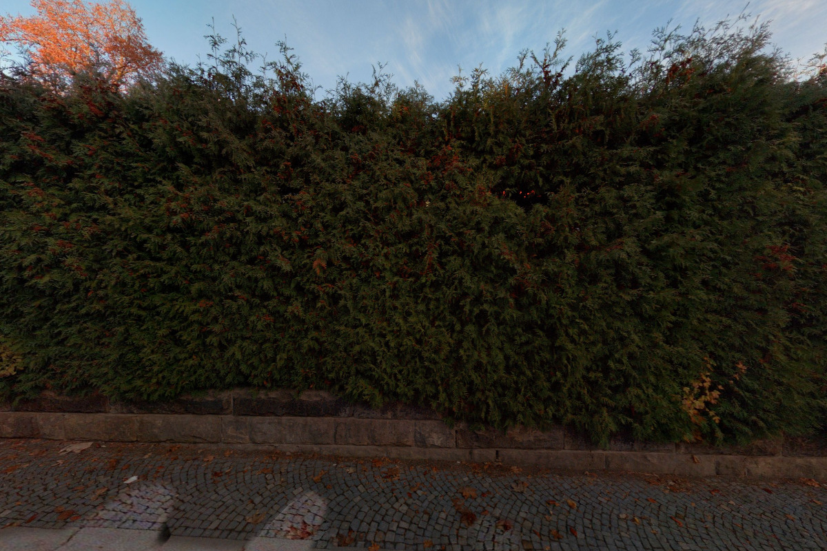 Středisko volného času Sluníčko foto 4