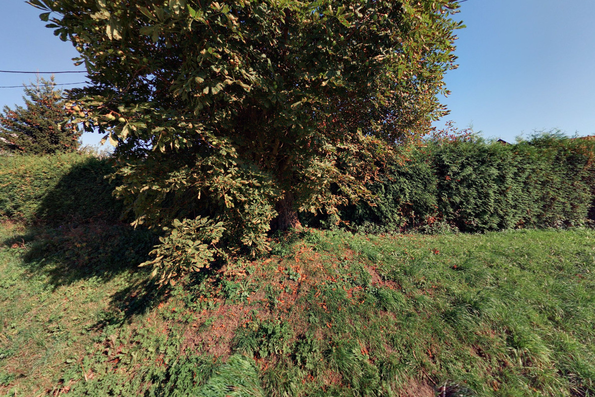 STAVEBNÍ FIRMA - Marian Navrátil foto 5