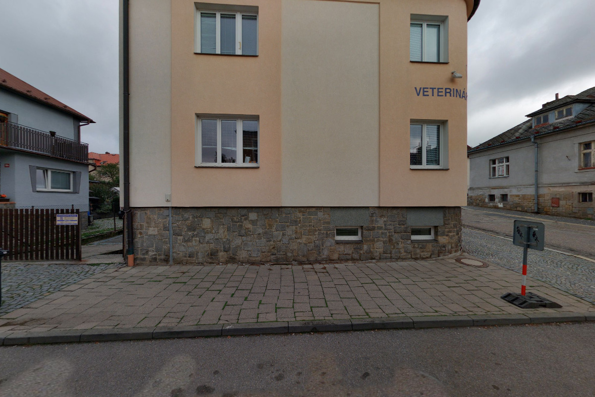 Dogsandcats.cz foto 2