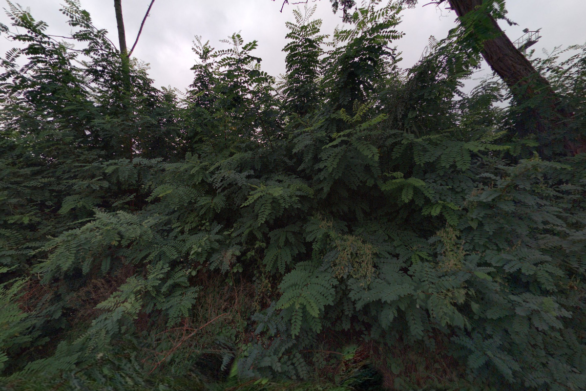 JAST obchodní, s.r.o.