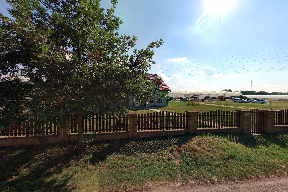 Prodej-jahod.cz foto 2