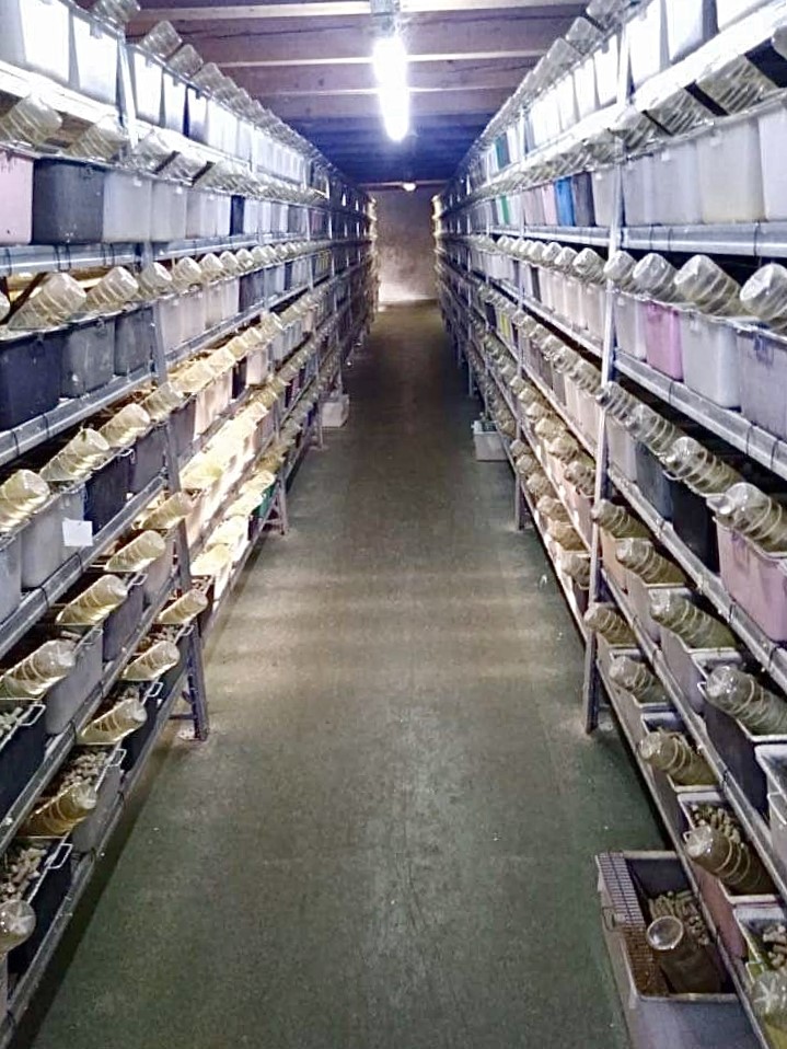 Mouse center sro foto 3