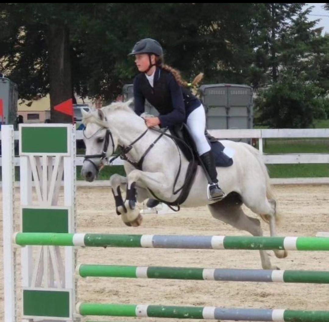 ATOS - jezdecká stáj z.s. foto 2