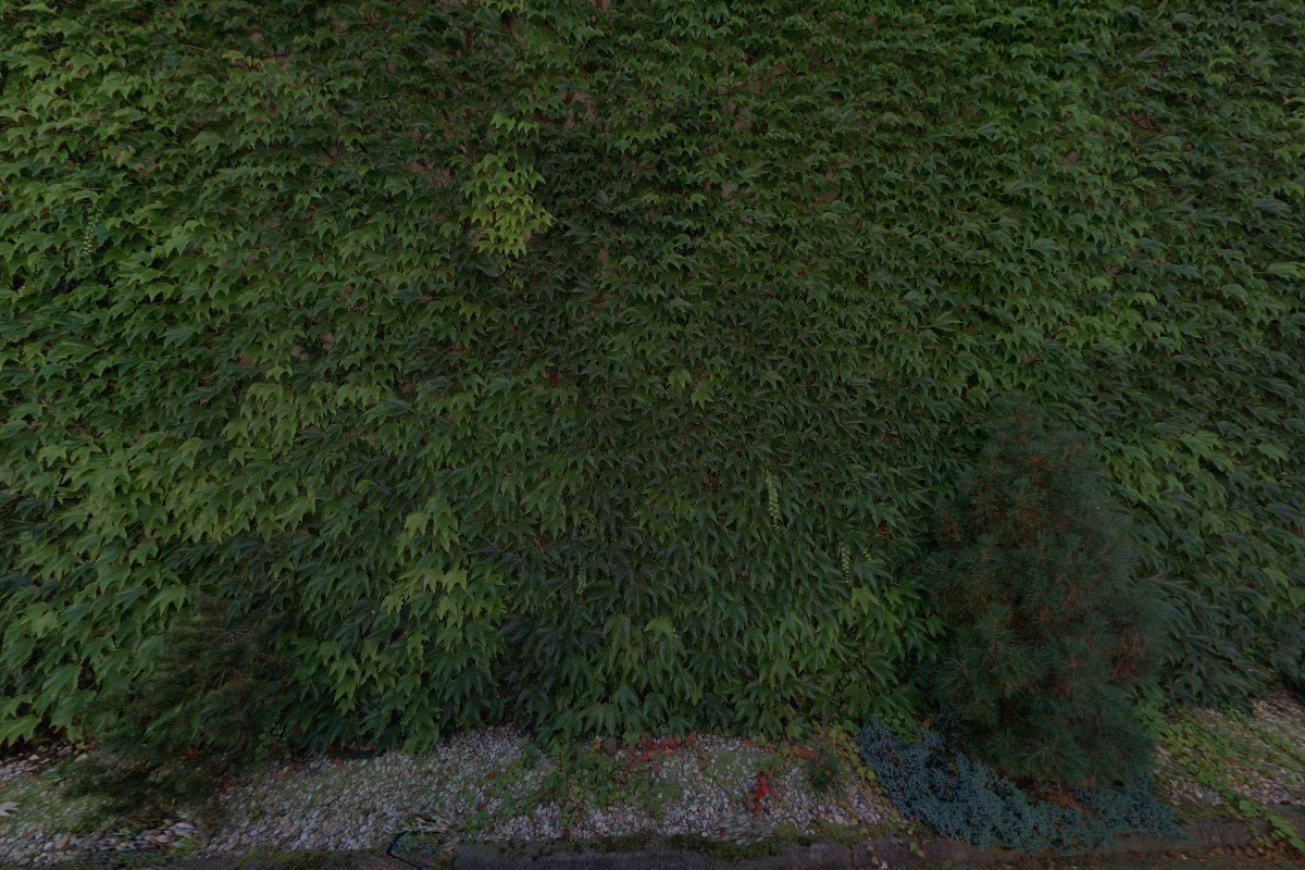 Penzion Vrchovina foto 3