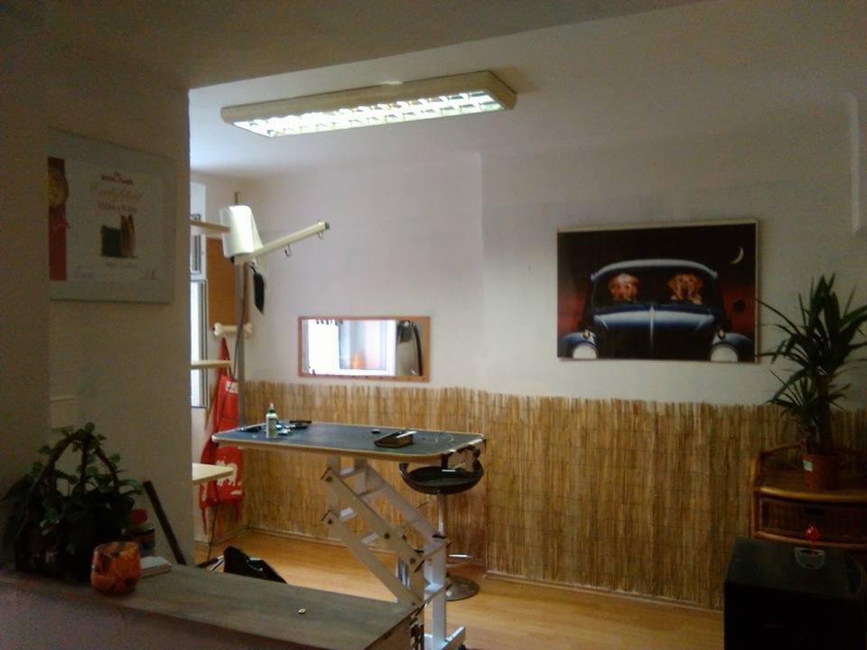Psí salon Fido foto 2