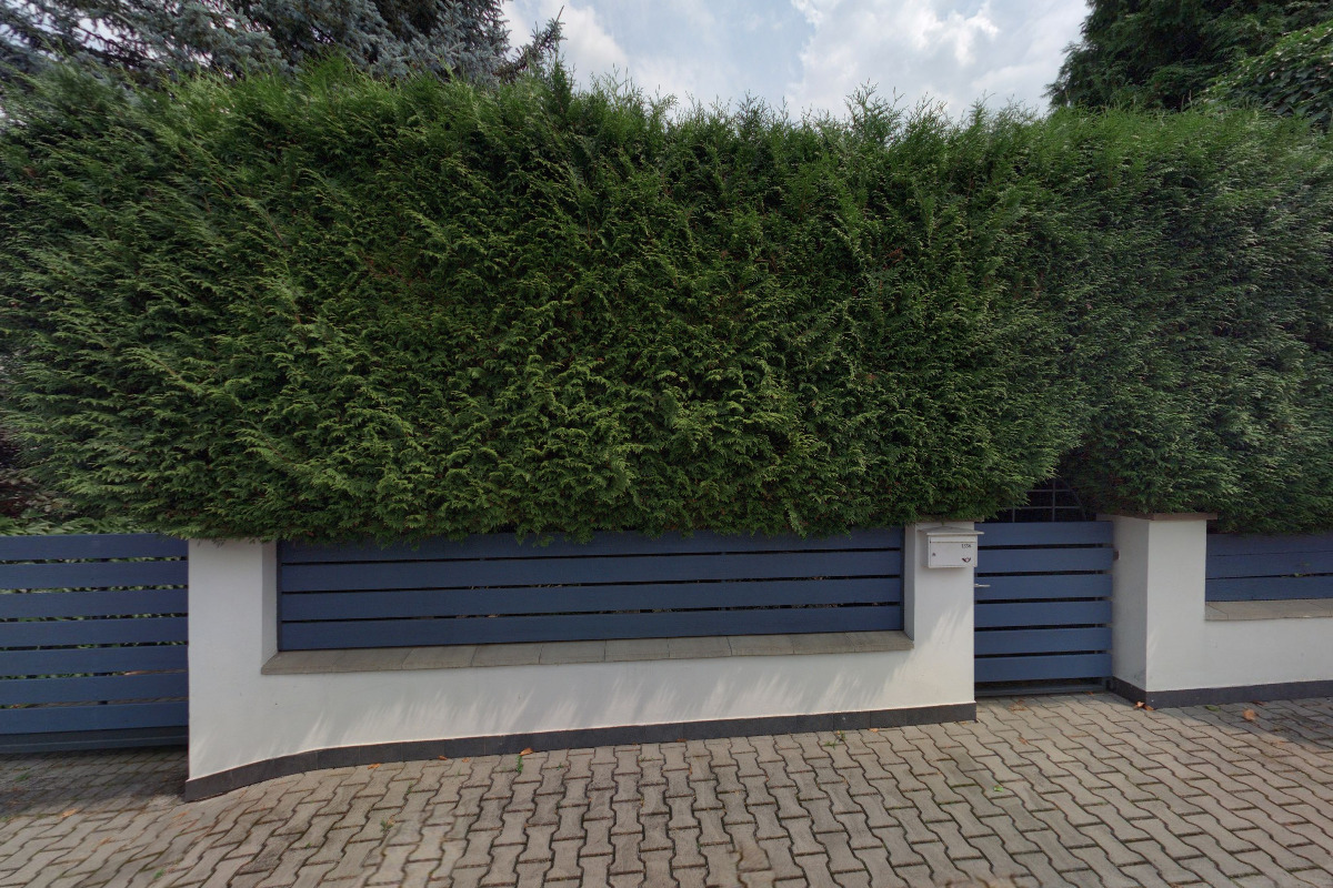 JUDr. Taťána Kafková, advokátka