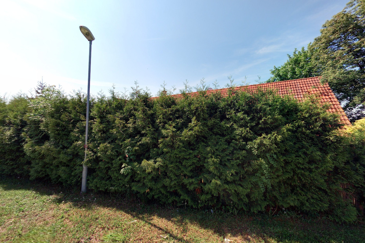 Perníčky Chudomelová foto 2