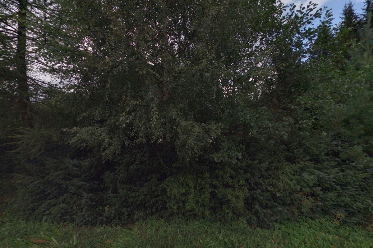 Ubytování na Slučím Tahu